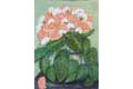 Carnations