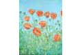 Poppies